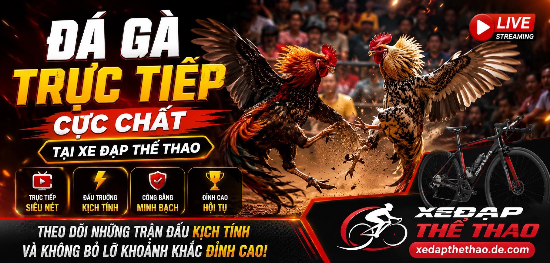 xedapthethao-banner-slots