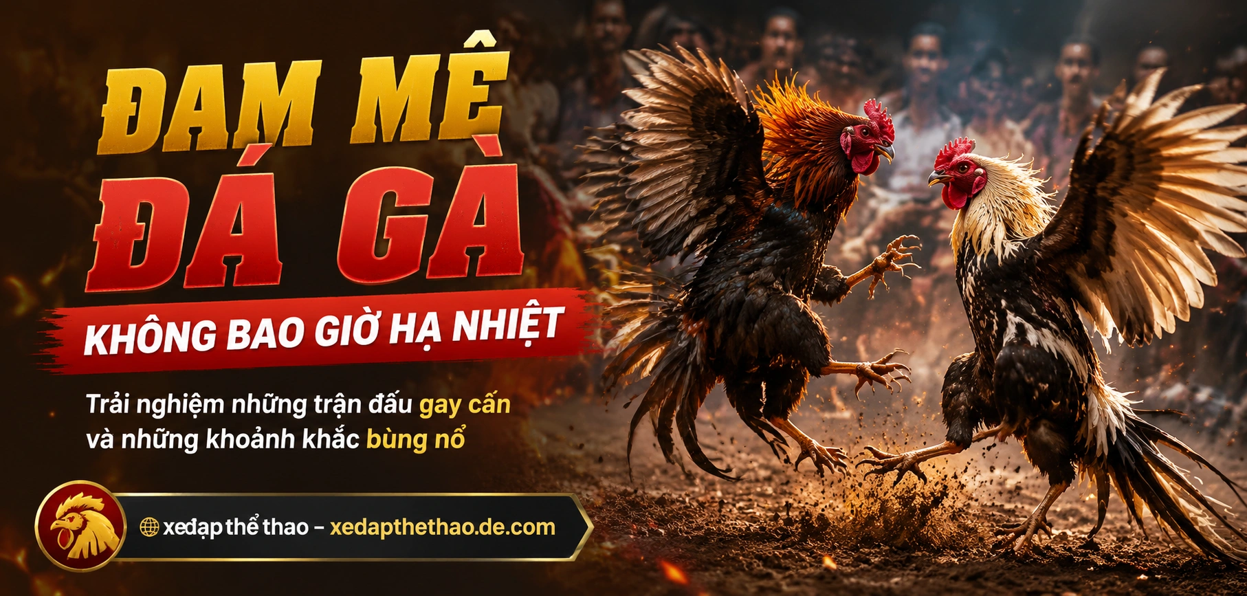 Theo dõi đá gà Campuchia với luồng phát trực tiếp